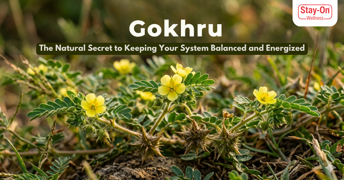 Gokhru: The Natural Secret to Keeping Your Energy Levels High